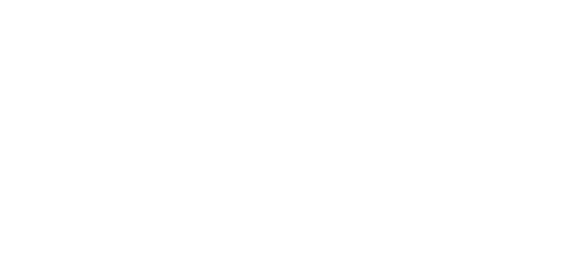 the brew